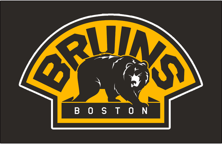 Boston Bruins 2008-2016 Jersey Logo t shirts DIY iron ons